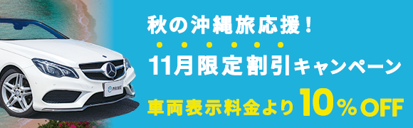 11月限定割引キャンペーン