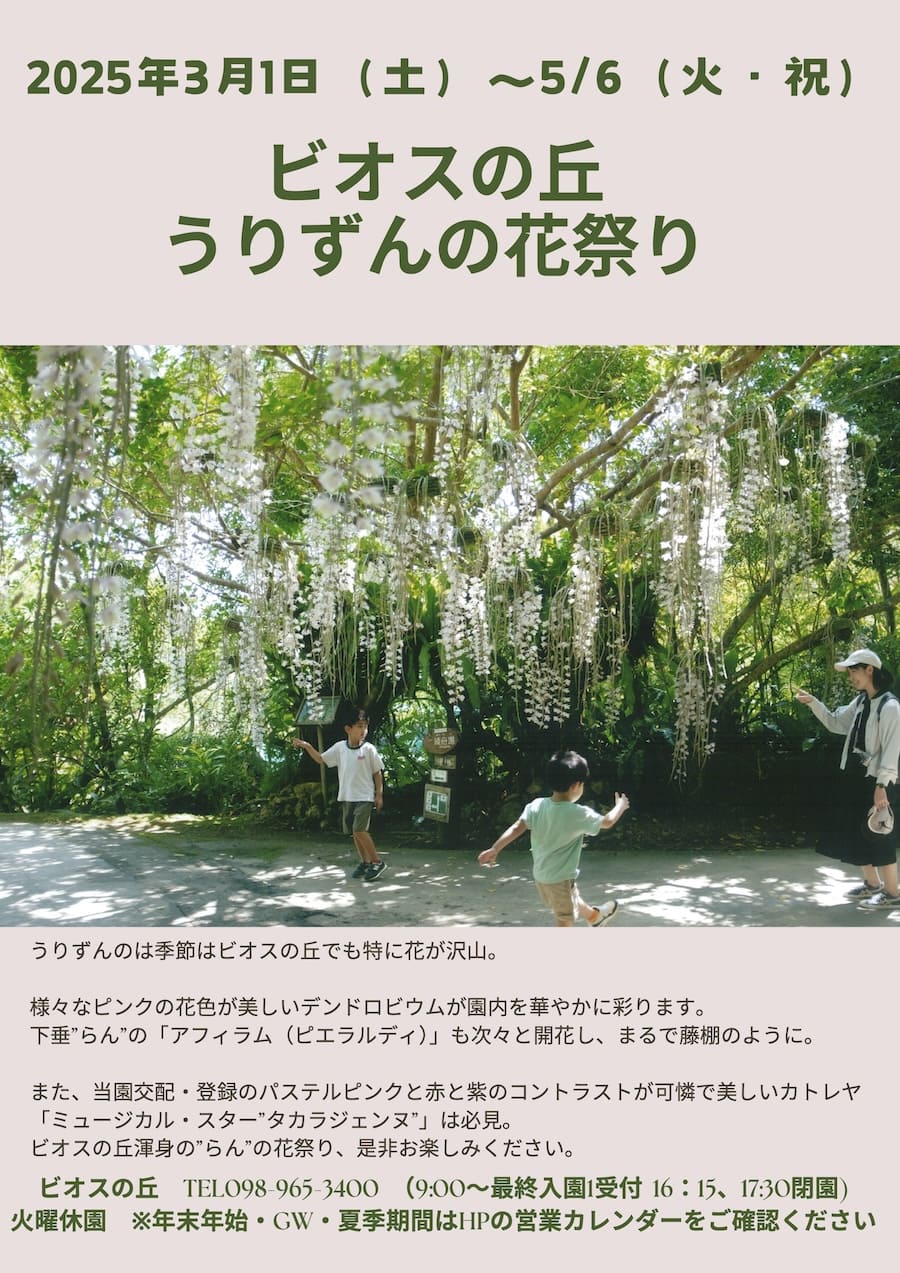 沖縄イベント